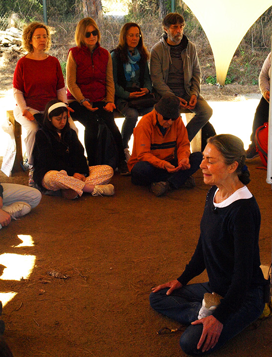 Meditació per la contemplació la Bellesa